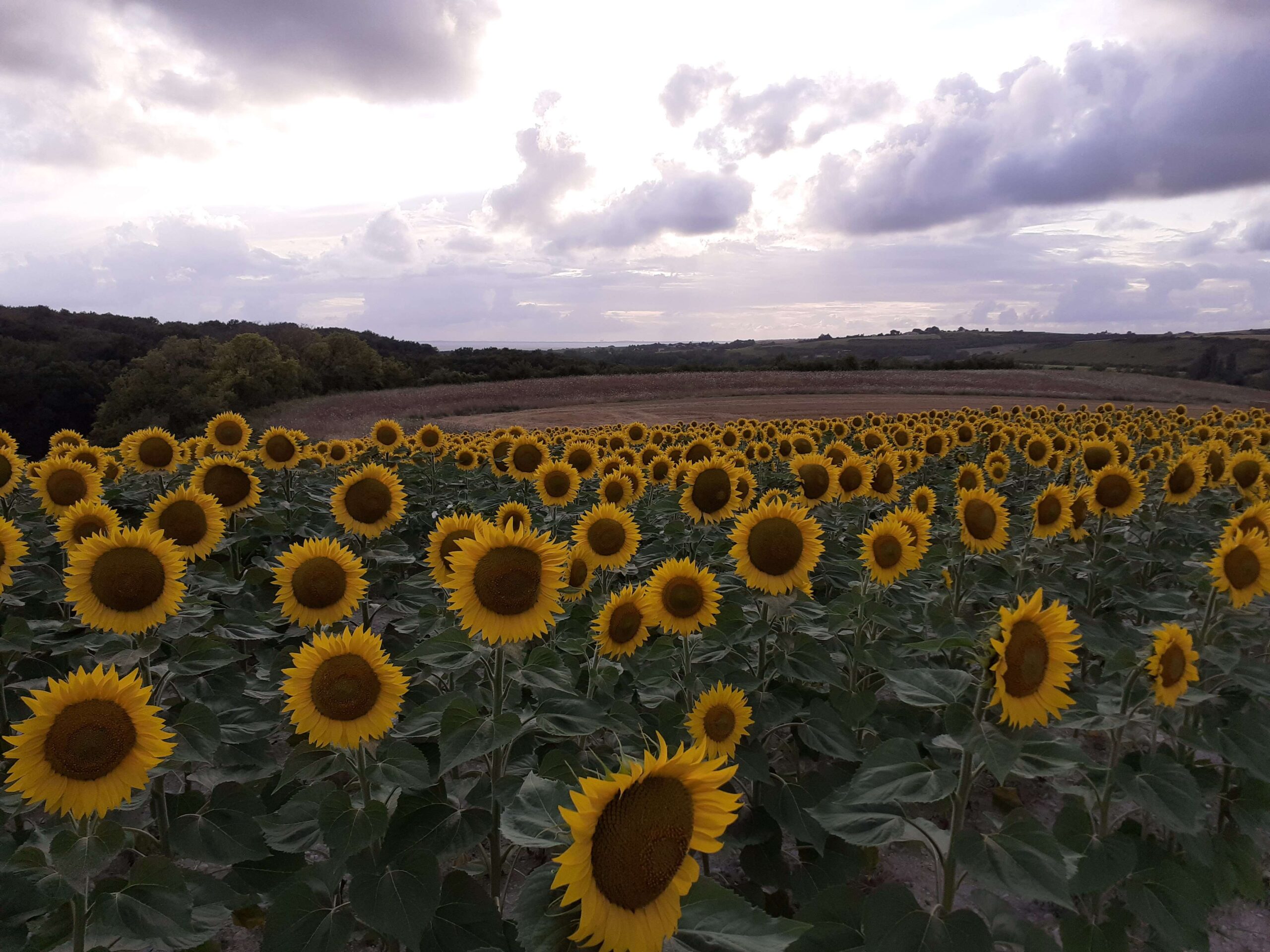 STUNNING COUNTRYSIDE